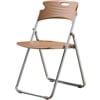 4FD211 寶麗金/烤漆/塑鋼摺疊椅