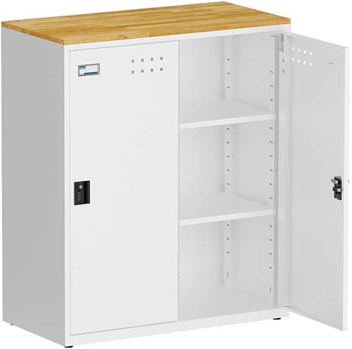 （圖像） FBA-202W 2門置物櫃(密碼鎖櫃)(天鋼)