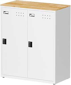 （圖像） FBA-202W 2門置物櫃(密碼鎖櫃)(天鋼)
